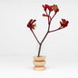 Totem Wooden Vase - Short Nº 4